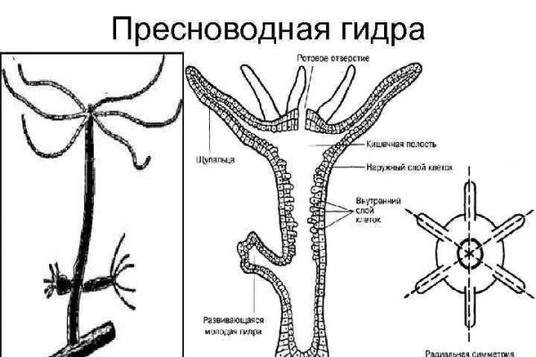 Зеркало omgomgomg рабочее