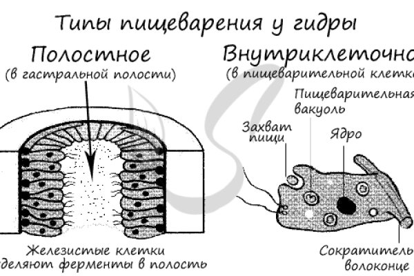 Омг ссылка телеграмм