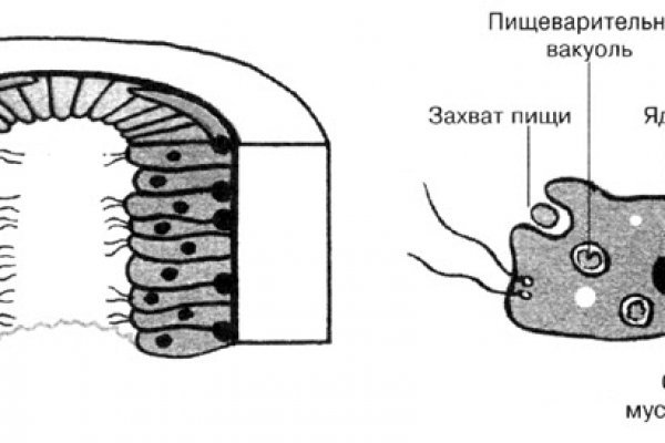 Omg omg сайт ссылка площадка