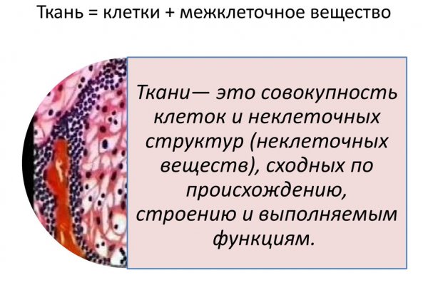 Как зайти на omg omg